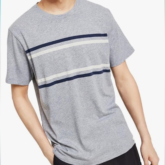 Sun + Stone Mens Gray Striped Cotton T-Shirt NWT - Picture 6 of 11